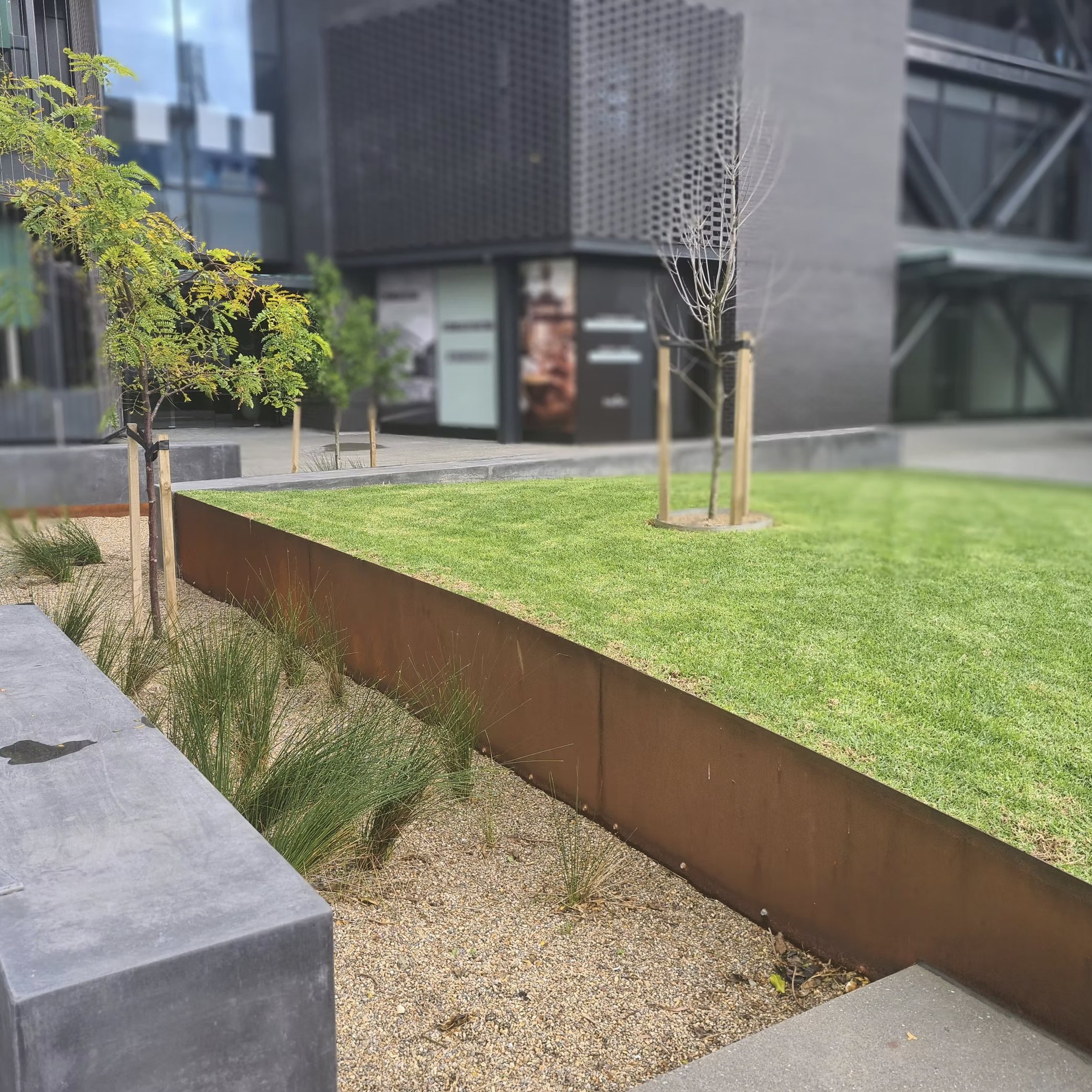 Corten steel raised lawn edge in a modern Auckland garden at dusk