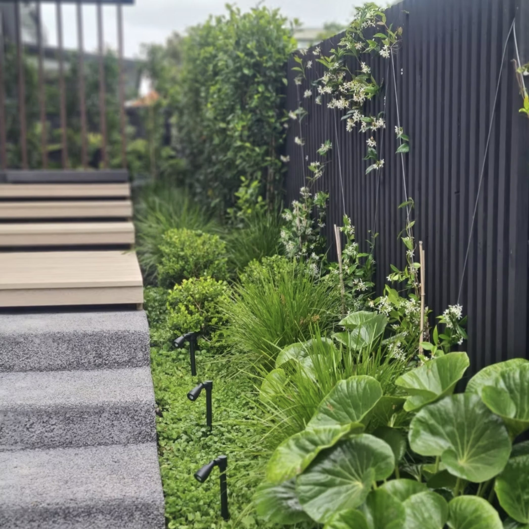 Landscape Design