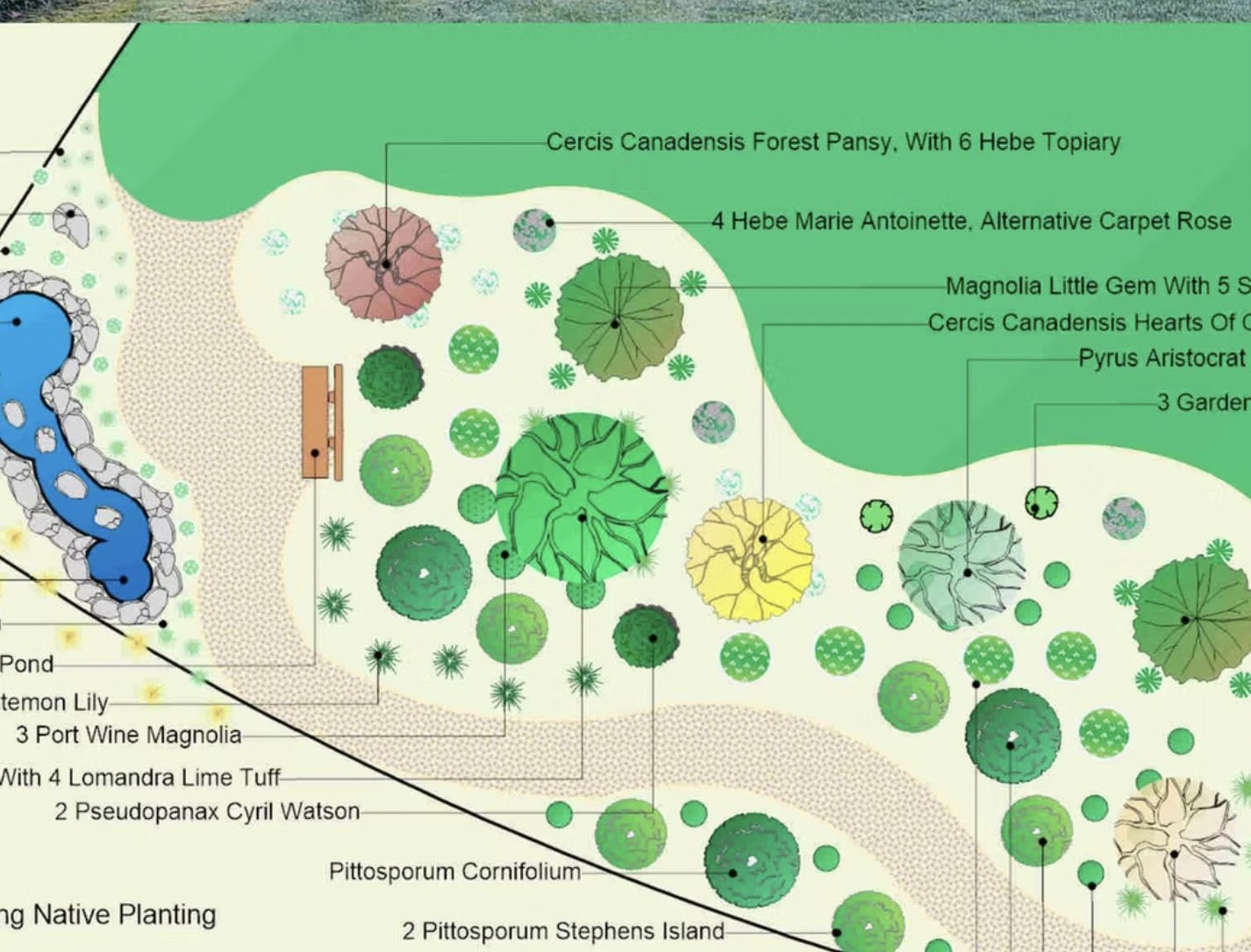 Hand-rendered 2D landscape design plan